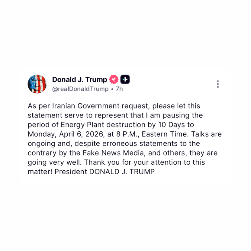 Bull Theory tweet media