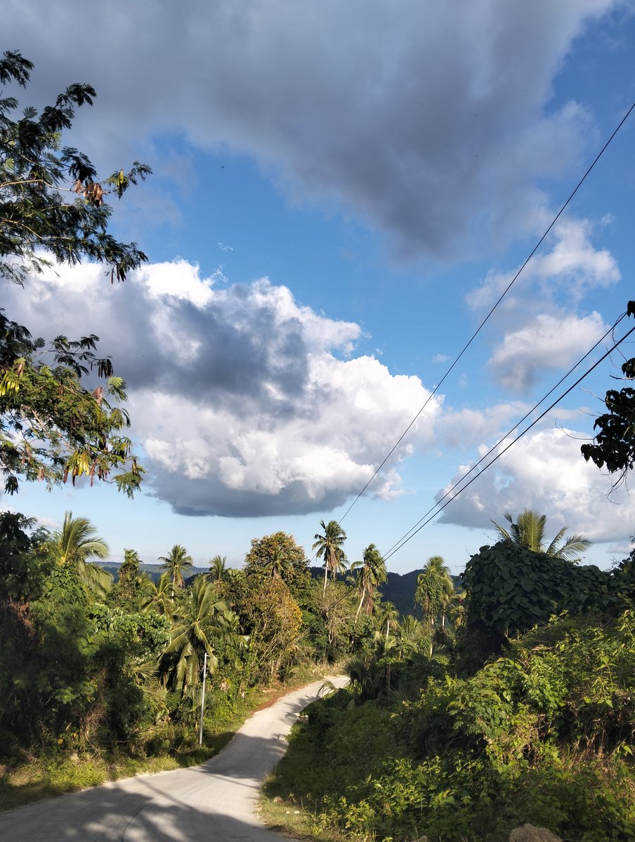 NABI🌩️☁️ tweet media