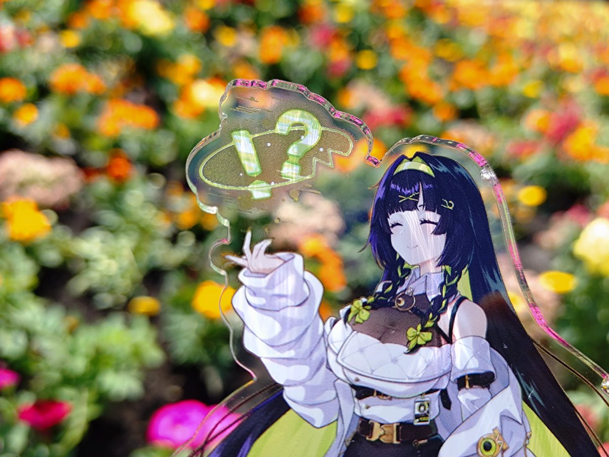 K2 #ぽ信 #観測者 ✂️🍊🐈⁉️ tweet media