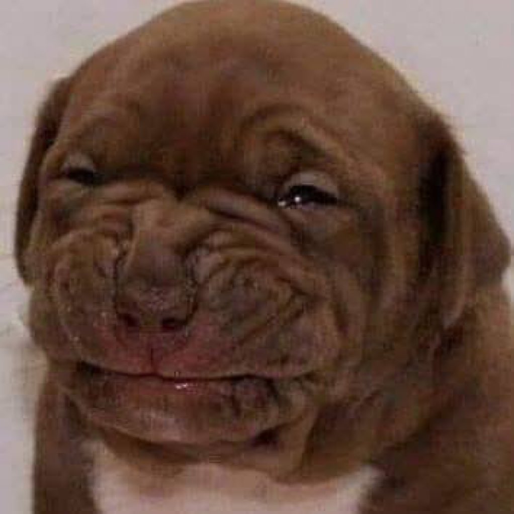 benapormi tweet media