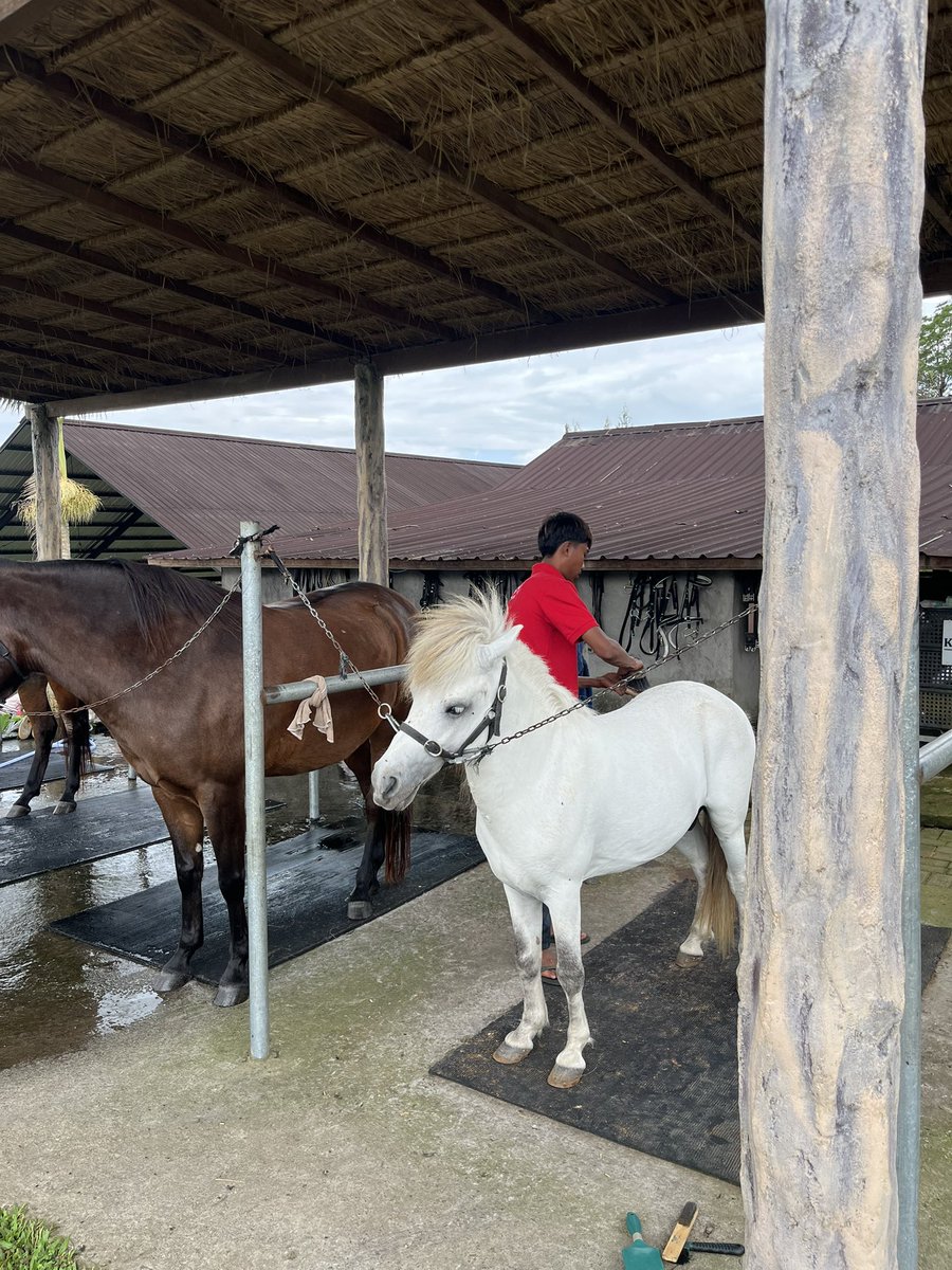 Chantaput Patarakampol tweet media