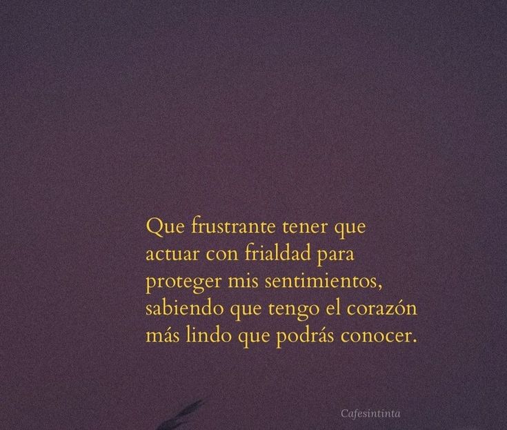 Escrito Ideal (@escrito_ideal) on Twitter photo 