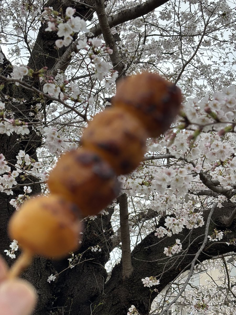 和服のおじさん tweet media