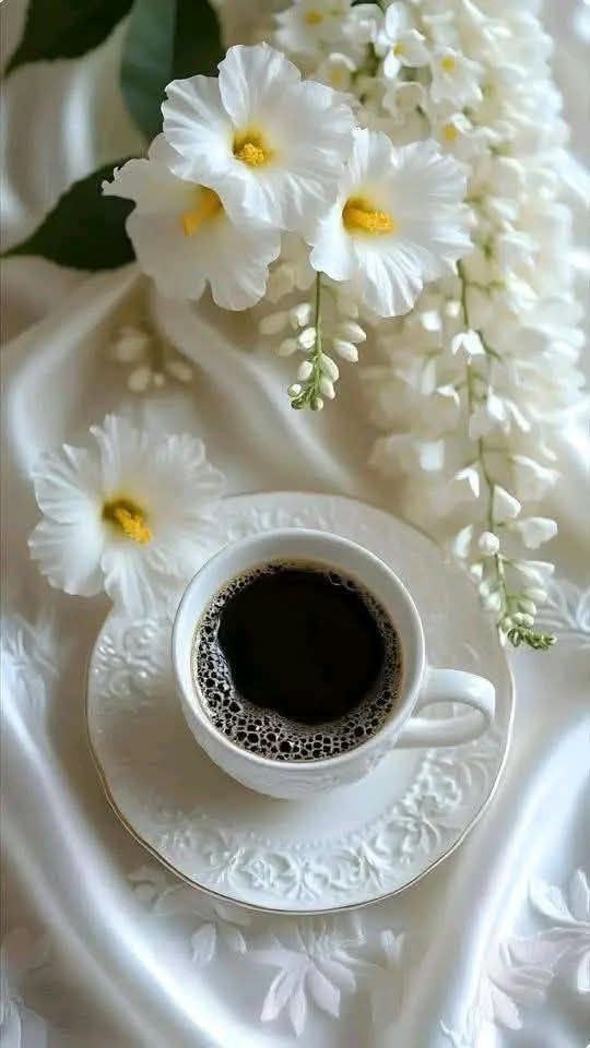  𝓦𝓔𝓓 tweet media