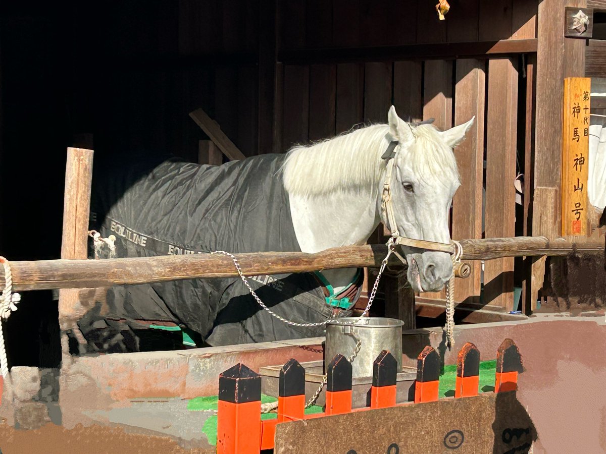 星音 蓮（ほしね れん） tweet media