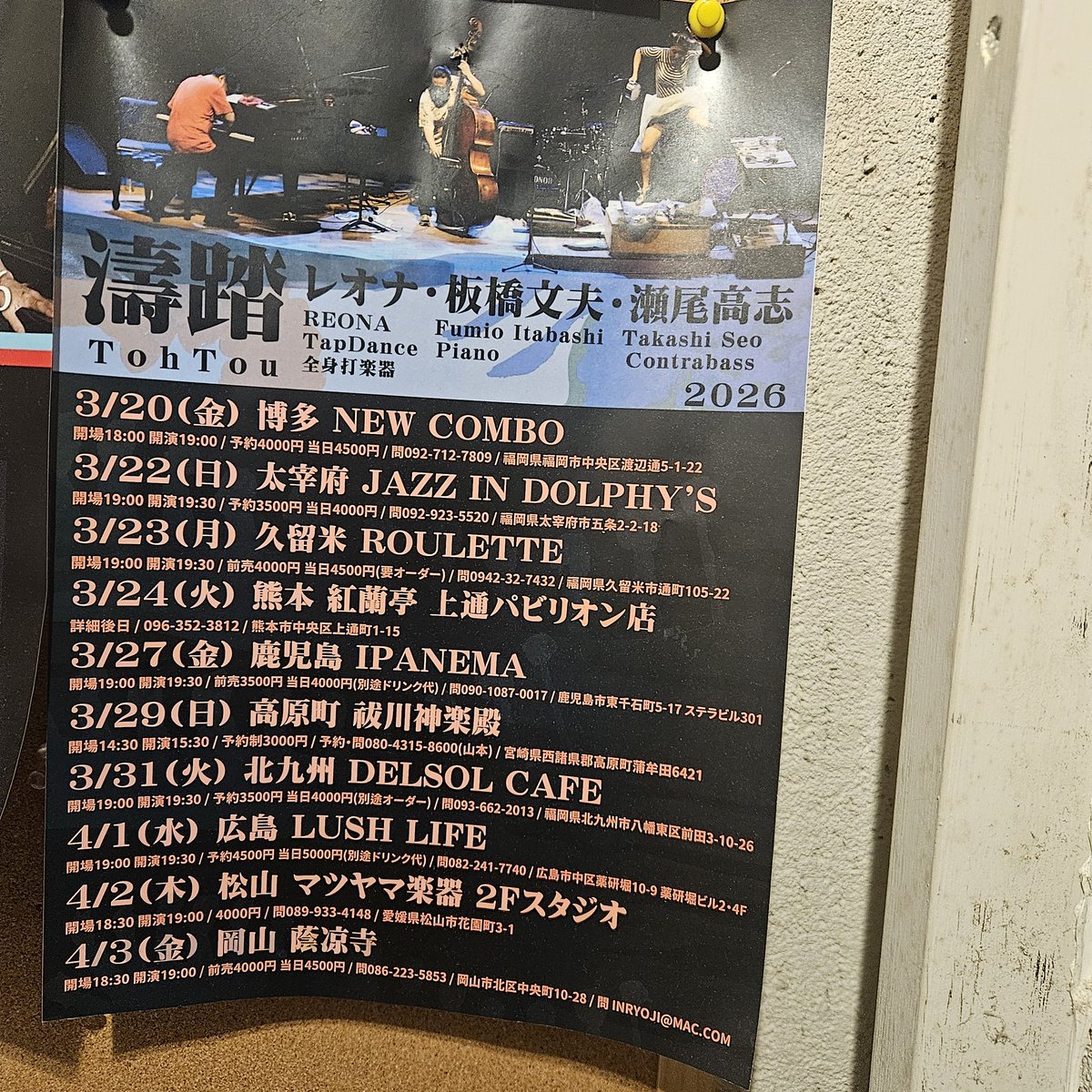 板橋文夫 Fumio Itabashi@ミックスダイナマイト tweet media