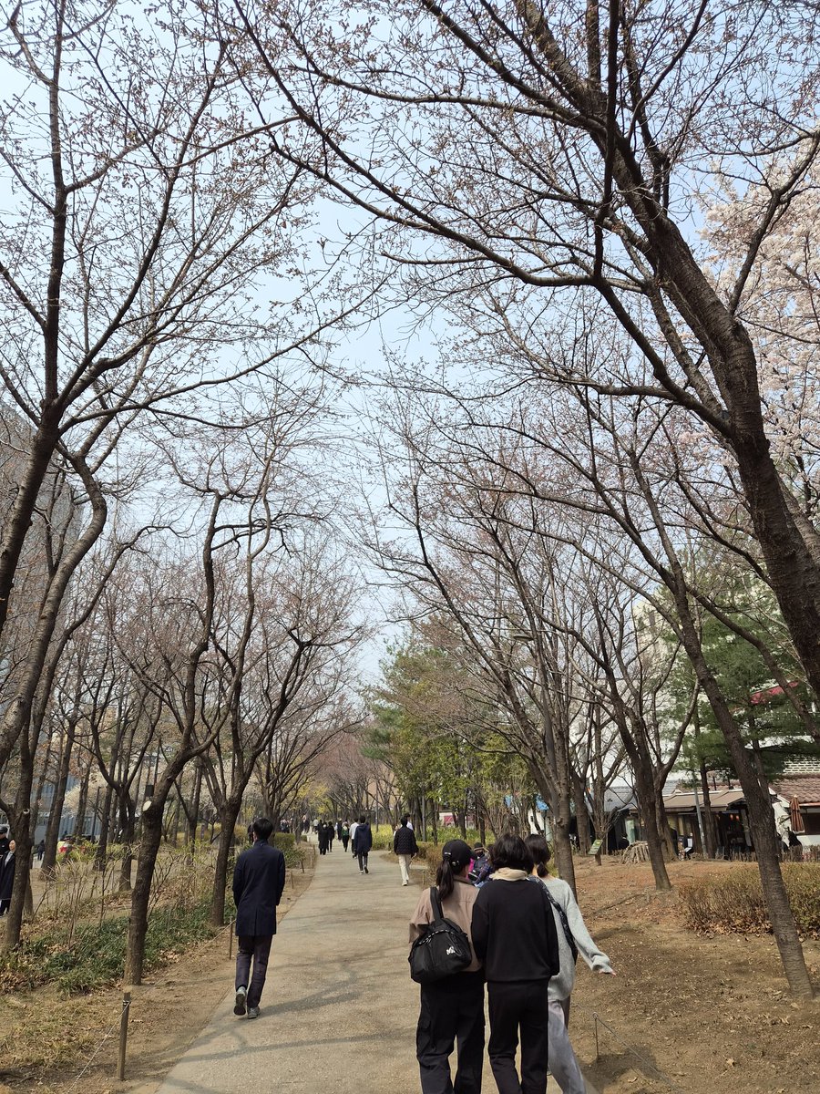 Jake Seo tweet media