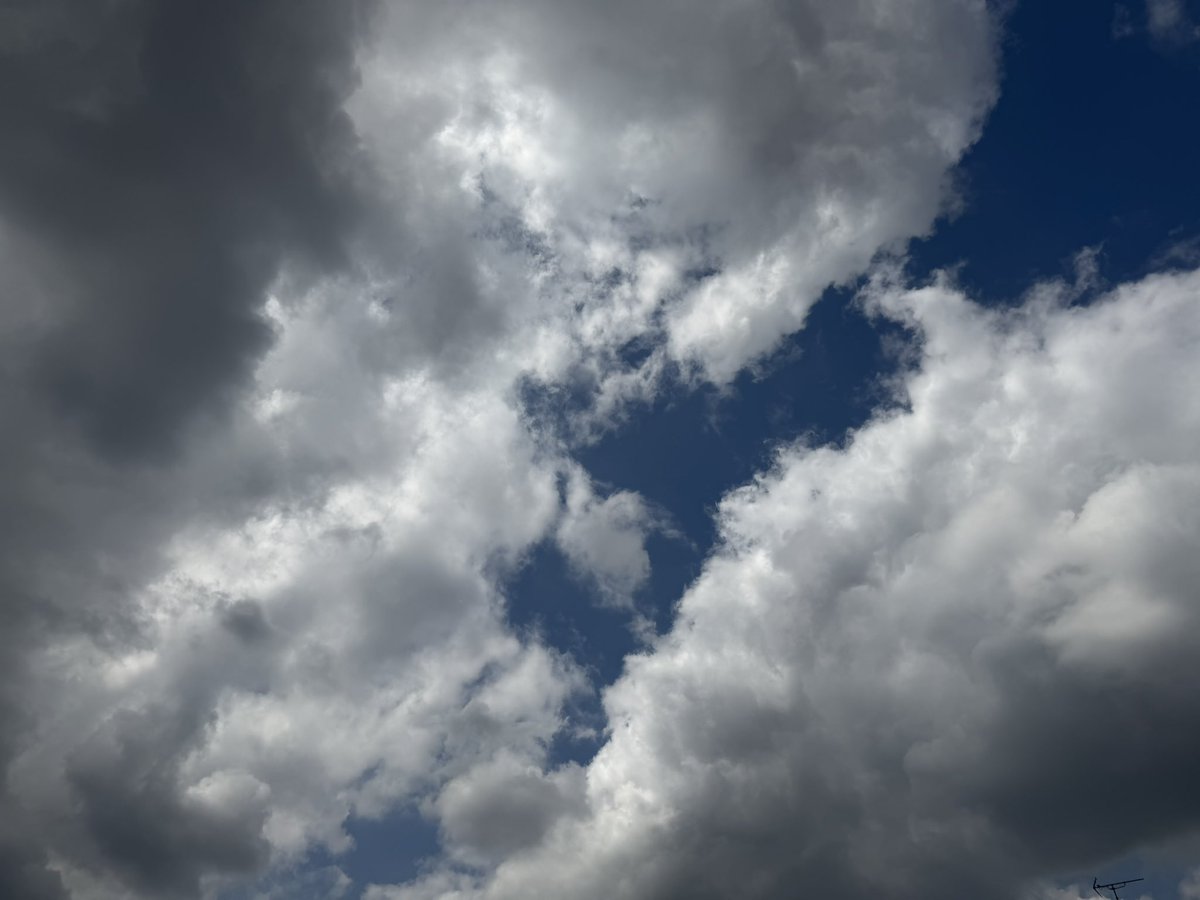 原口亨／福岡の薬剤師／がんサバイバー tweet media