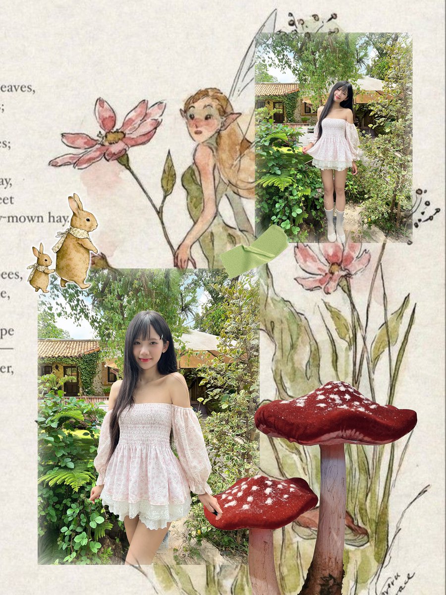 Nguyen Dang Chinh tweet media