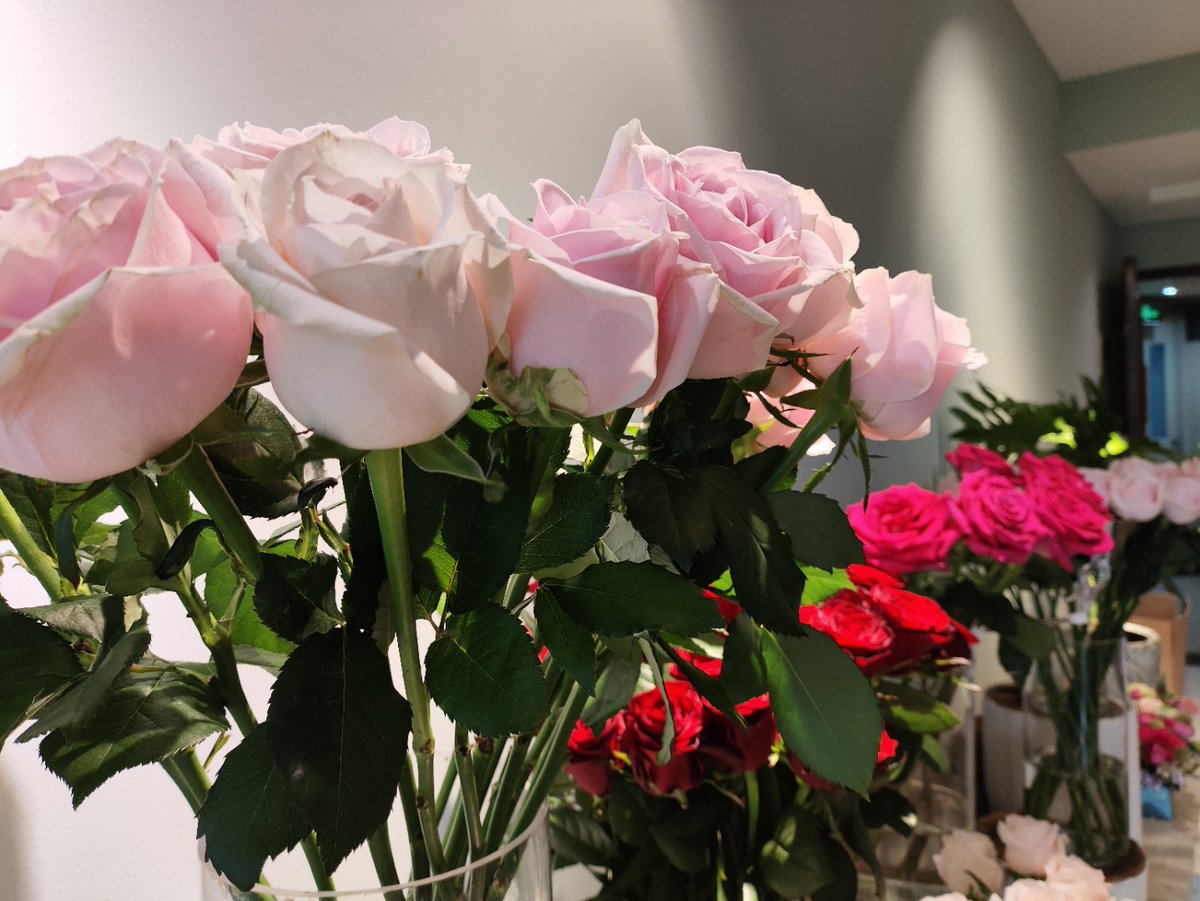 Olga Kornilova tweet media