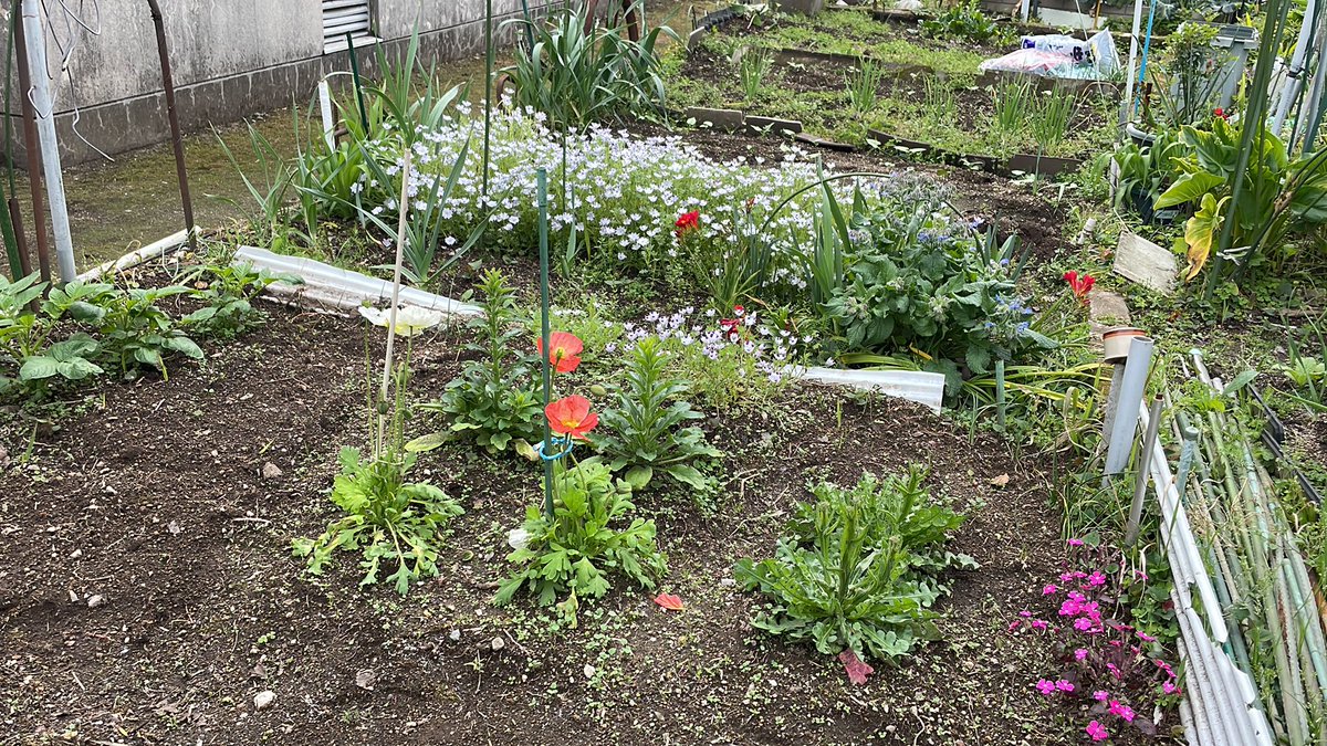 かごしまSS167 JE6AKP tweet media