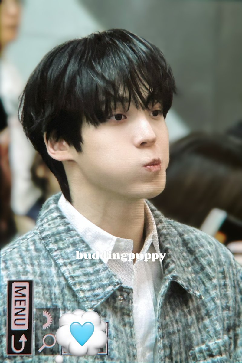 싹트기 tweet media