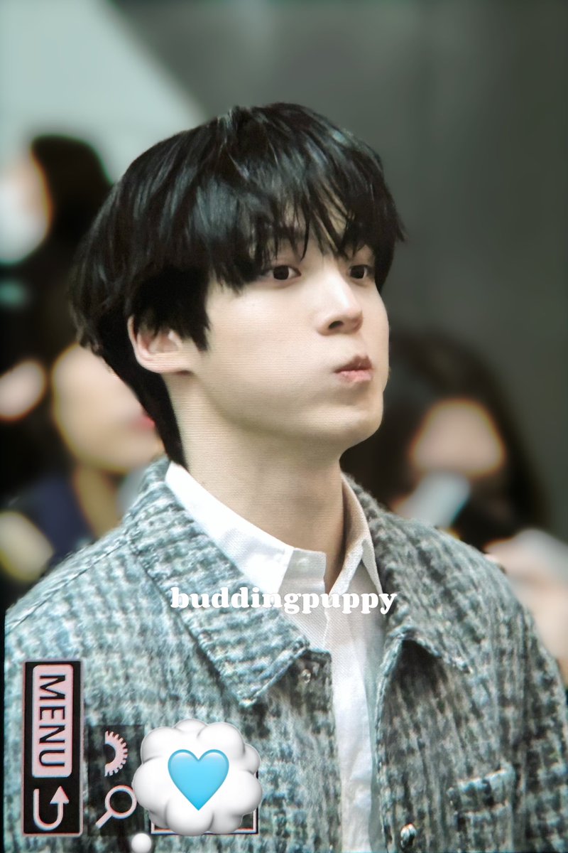 싹트기 tweet media