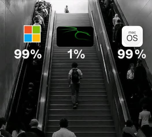 Python Developer tweet media