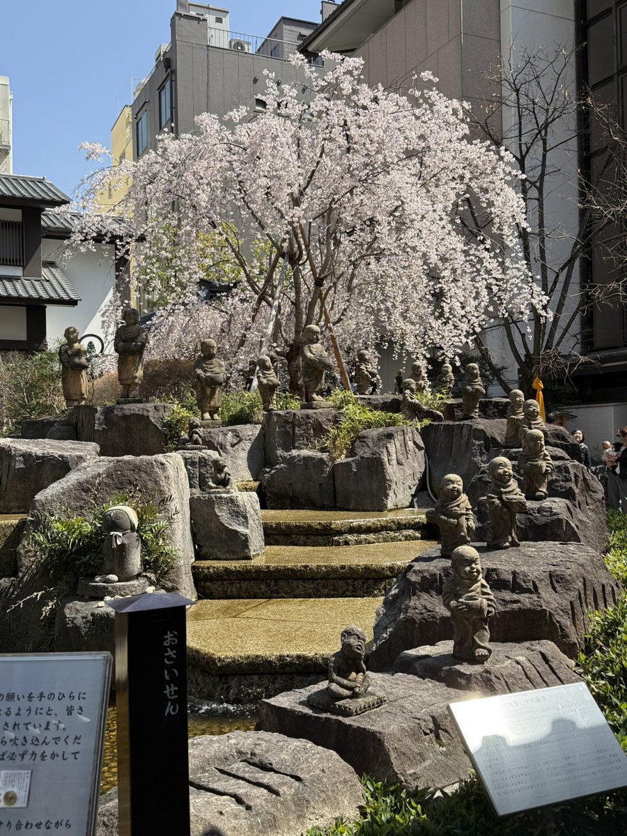 タナカリョウ@葬送のフリーメン tweet media