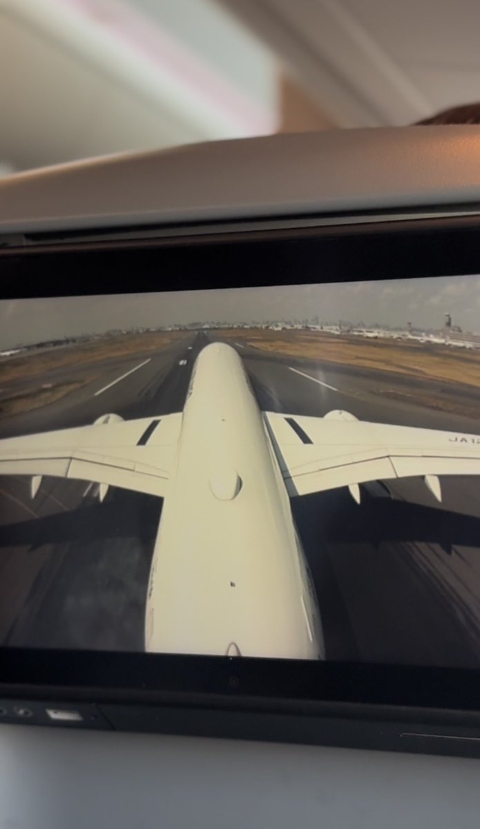 yui ☕️✈︎ tweet media