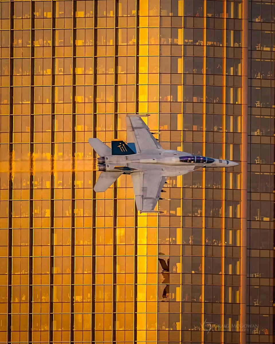 rare.jpg tweet media