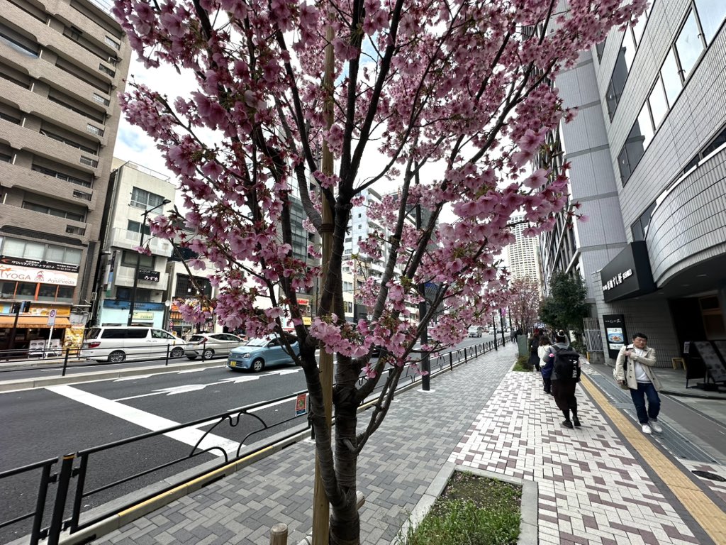 Dan Castellano tweet media