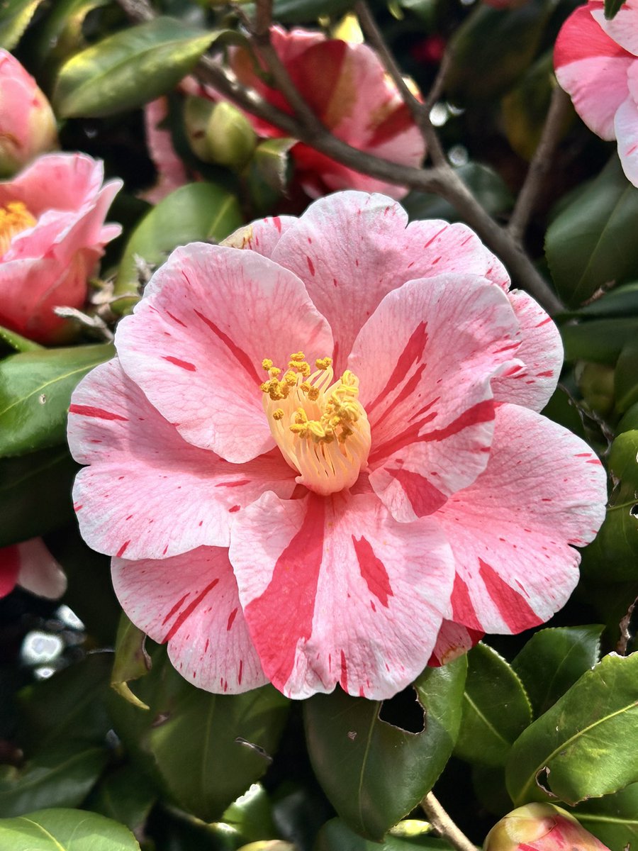 日中友好会館美術館（公式） tweet media