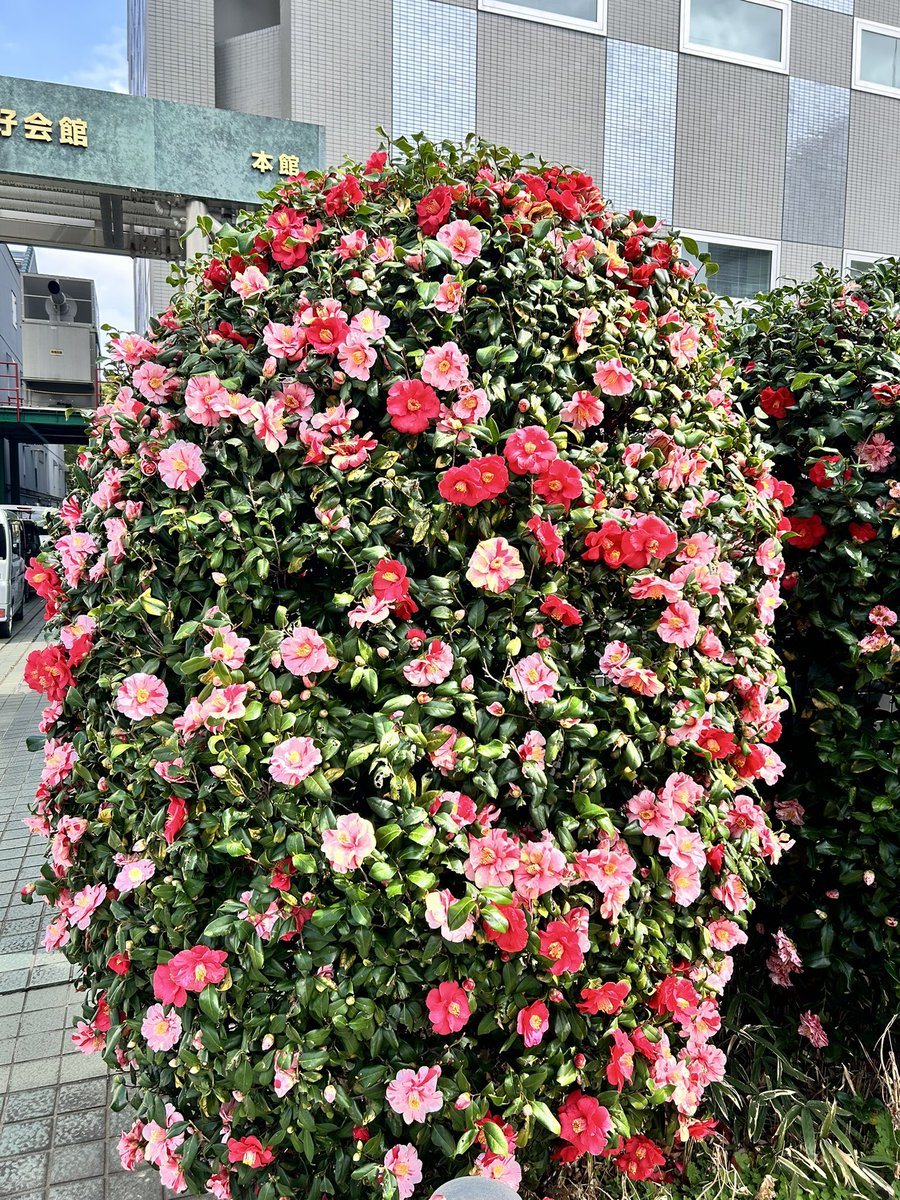 日中友好会館美術館（公式） tweet media