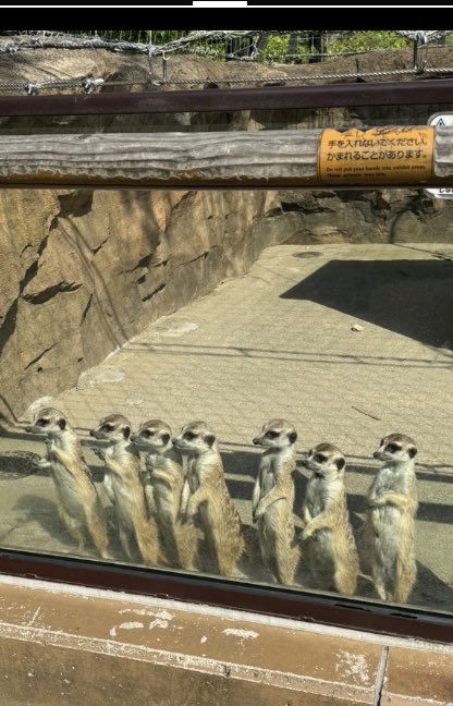 もしもピアノが弾けたなら tweet media