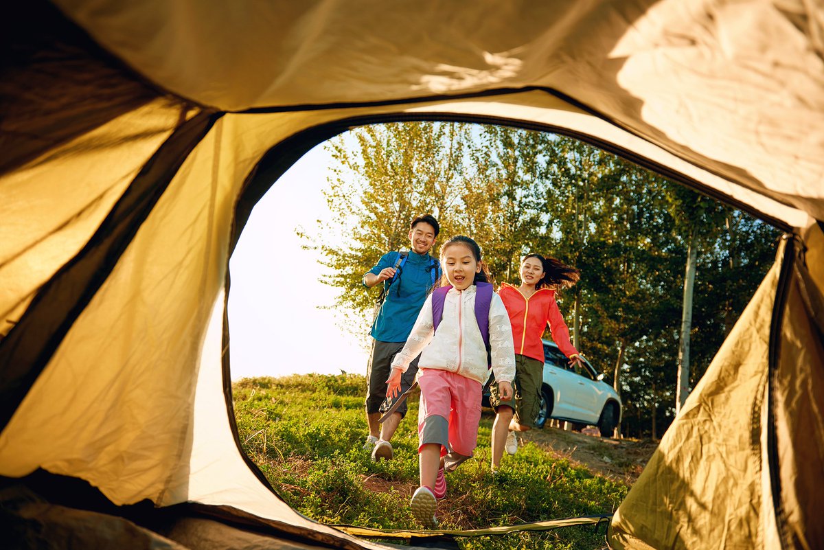 Jump-in Land tweet media