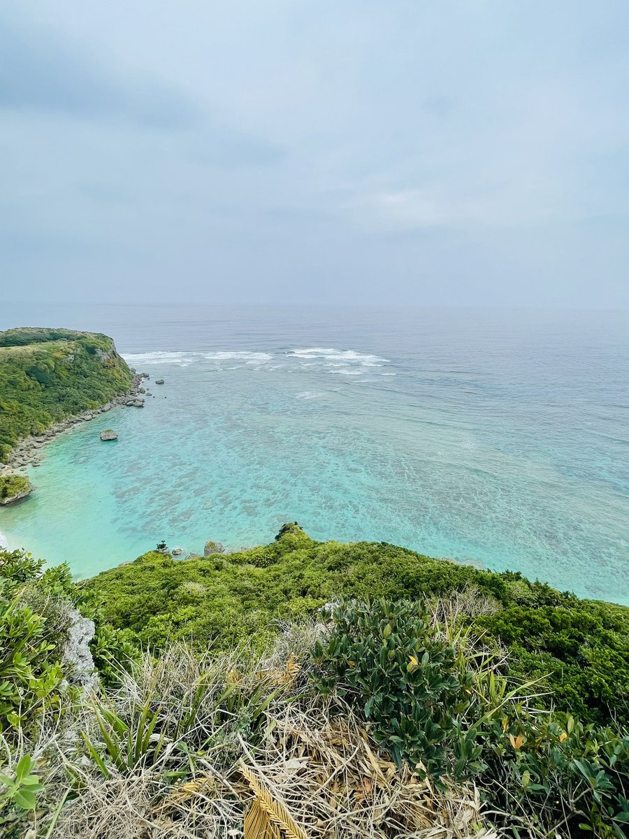 クラミー tweet media