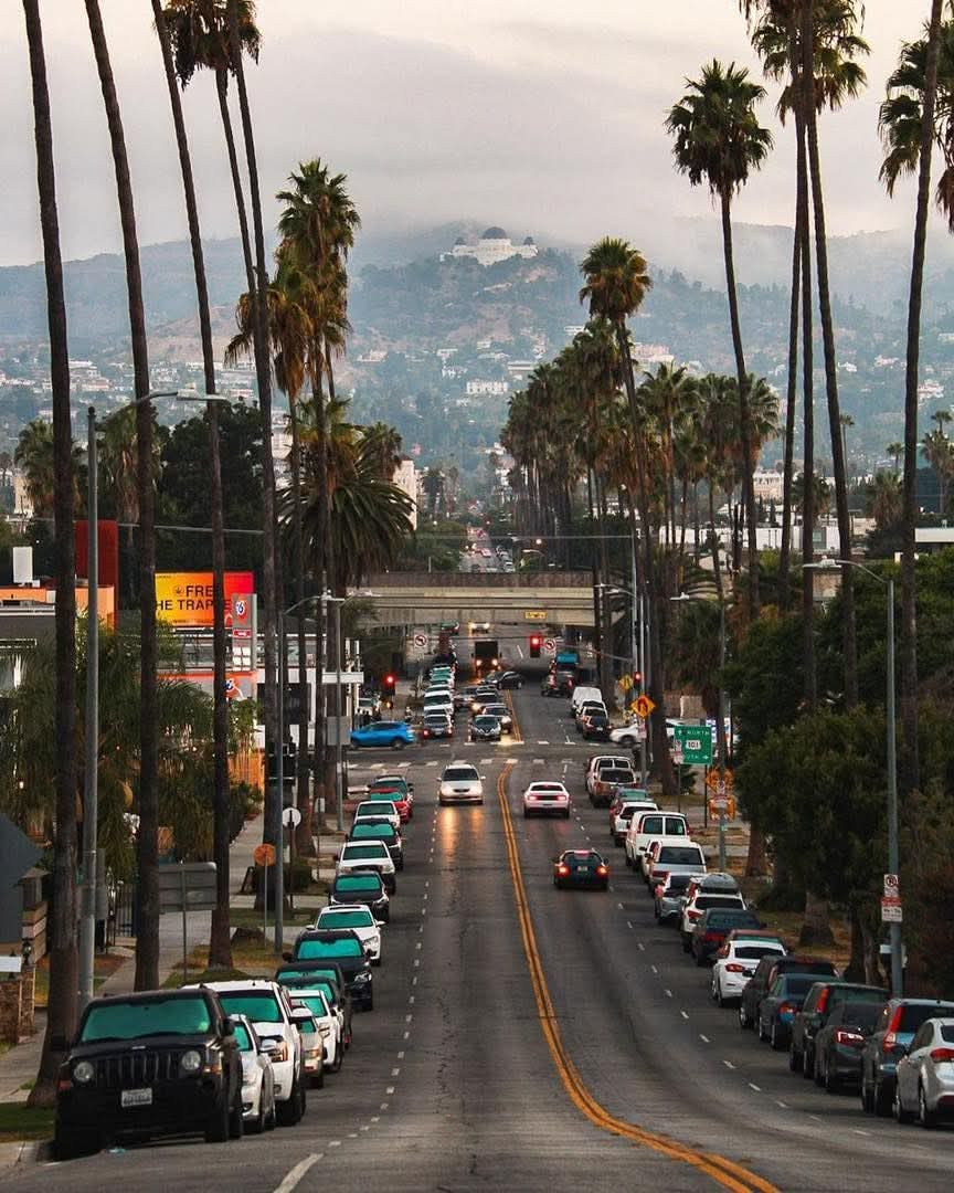 Amazing Eyes tweet media