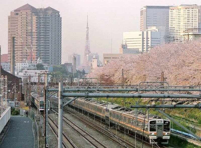 つばさ51号 tweet media