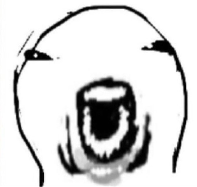 leo Friends tweet media