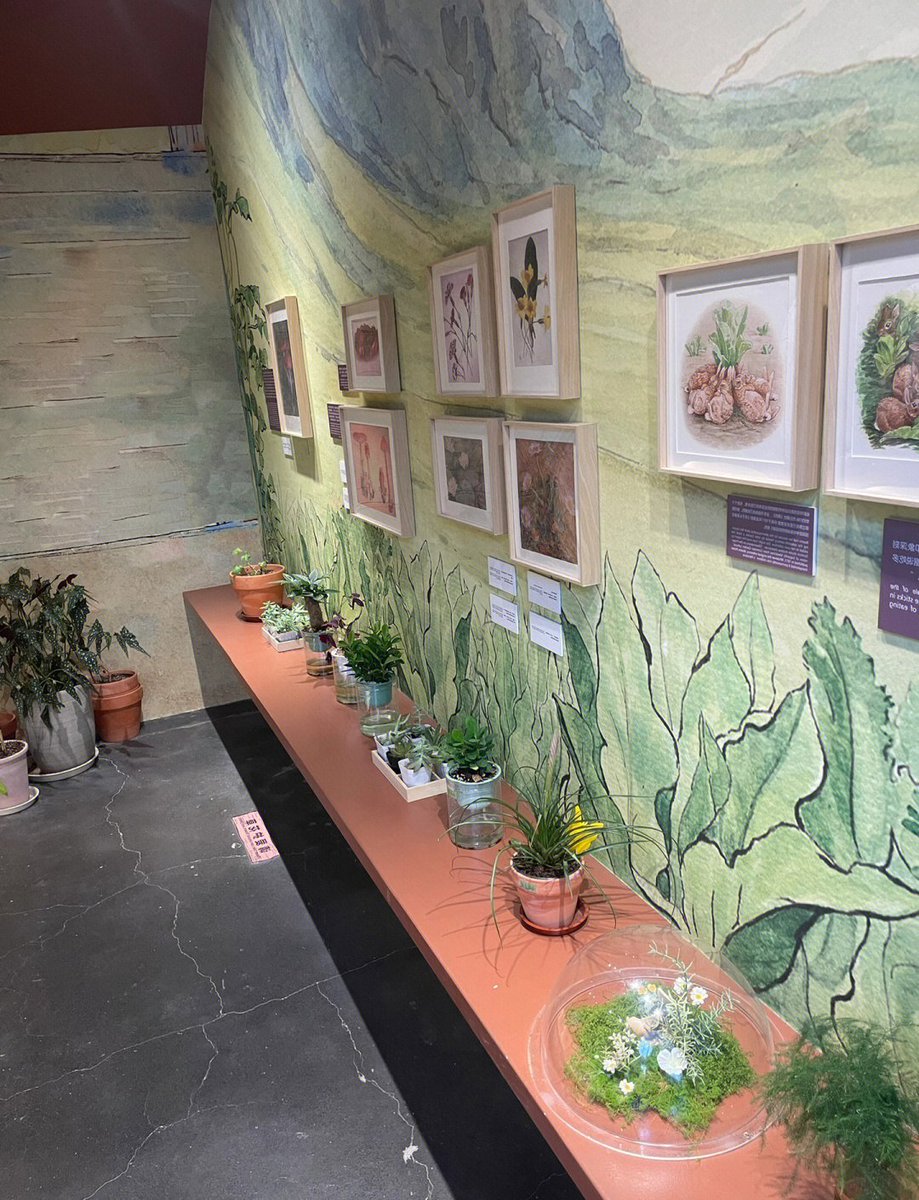 Jessica Belyea tweet media