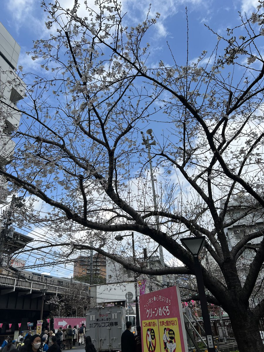 ただの猟犬 tweet media