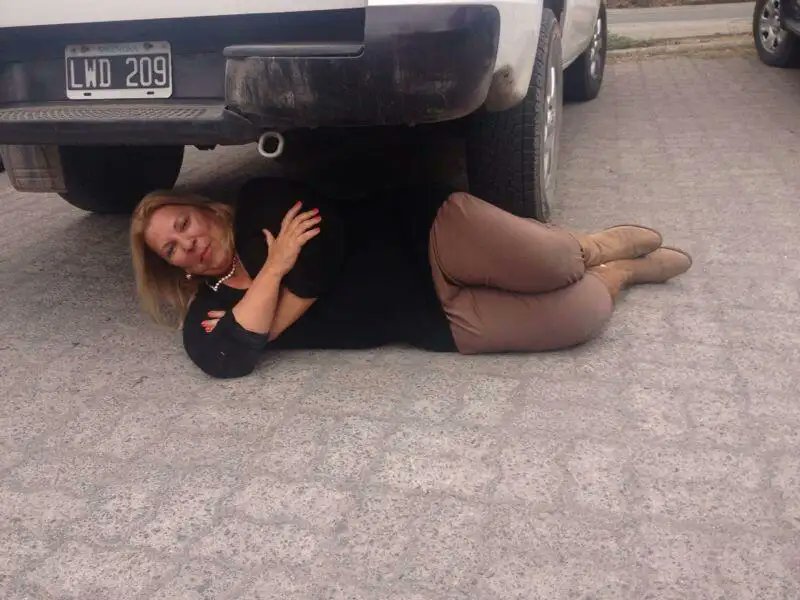 McJenicator 🪰 tweet media