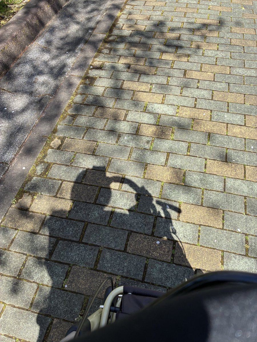 たかびん tweet media