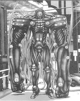 リュート tweet media