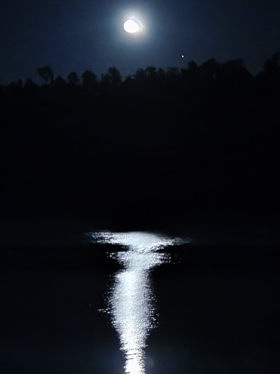 German de Rosas tweet media