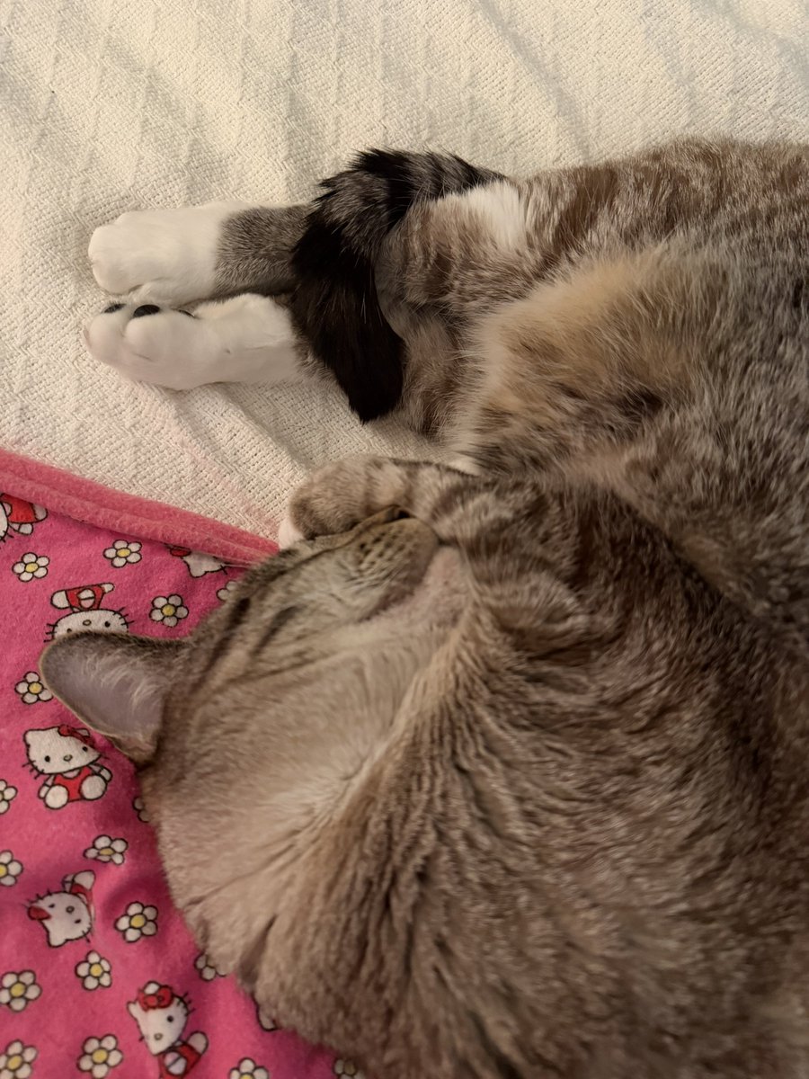 🐛🌷Dean🦋🪴 tweet media