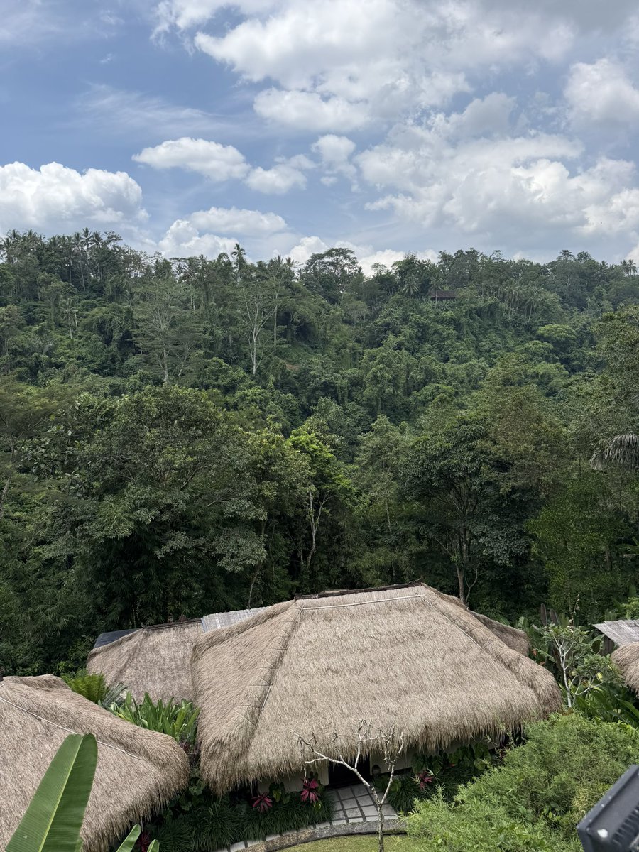 榎本晋作/未来学でイギリス大学院奮闘中🌏 tweet media