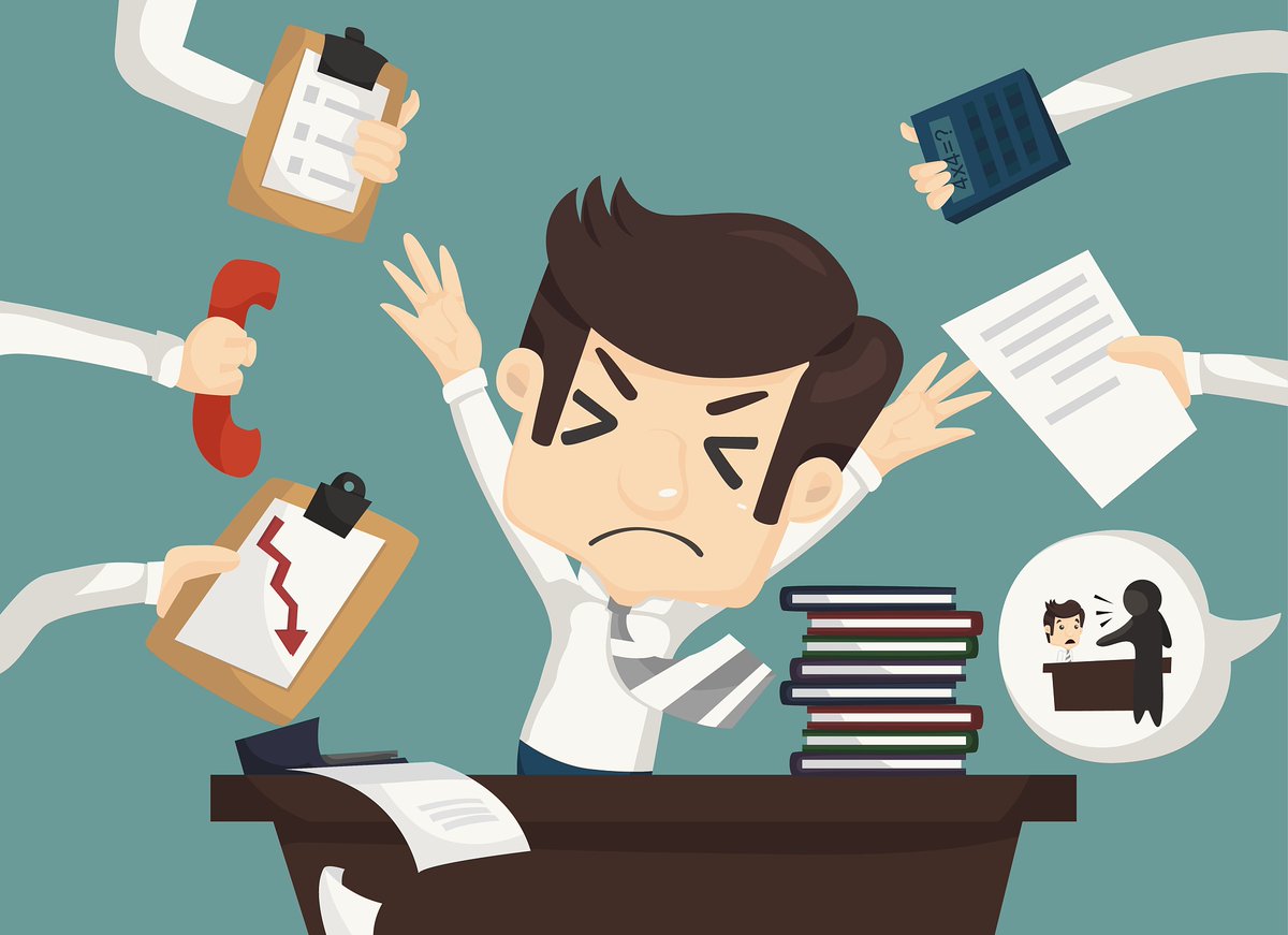 Jordan F | Stock Trader tweet media