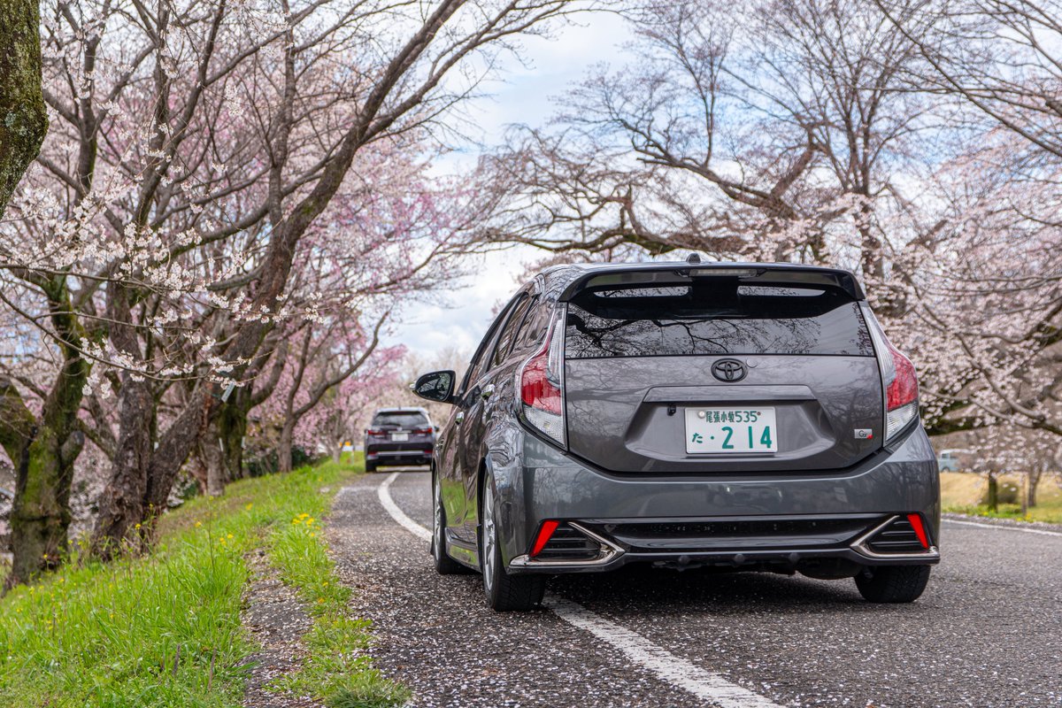 めーでん tweet media