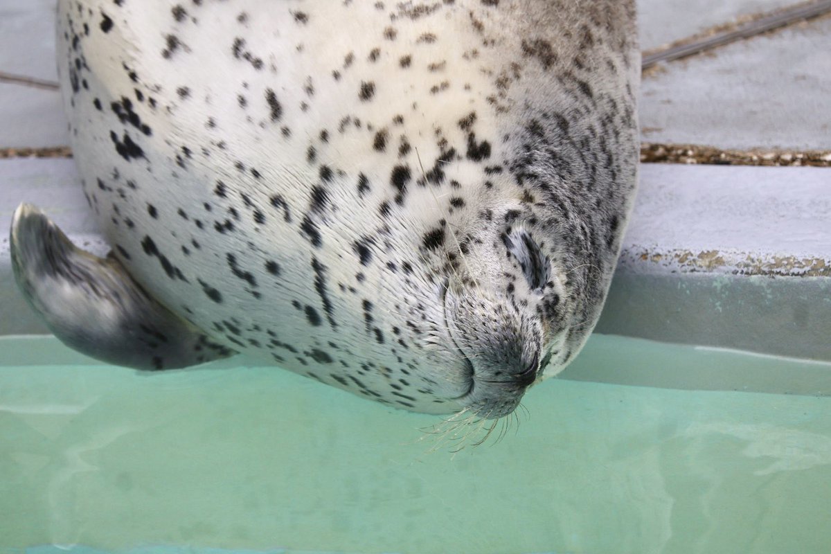 𝕄 𝔼 𝕎 tweet media