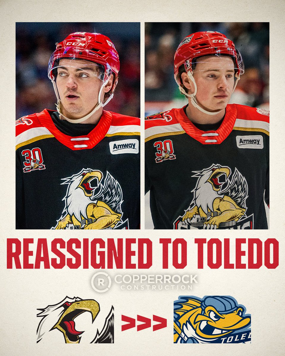 y-Grand Rapids Griffins tweet media