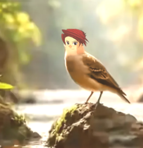 Serika Whatsapp tweet media