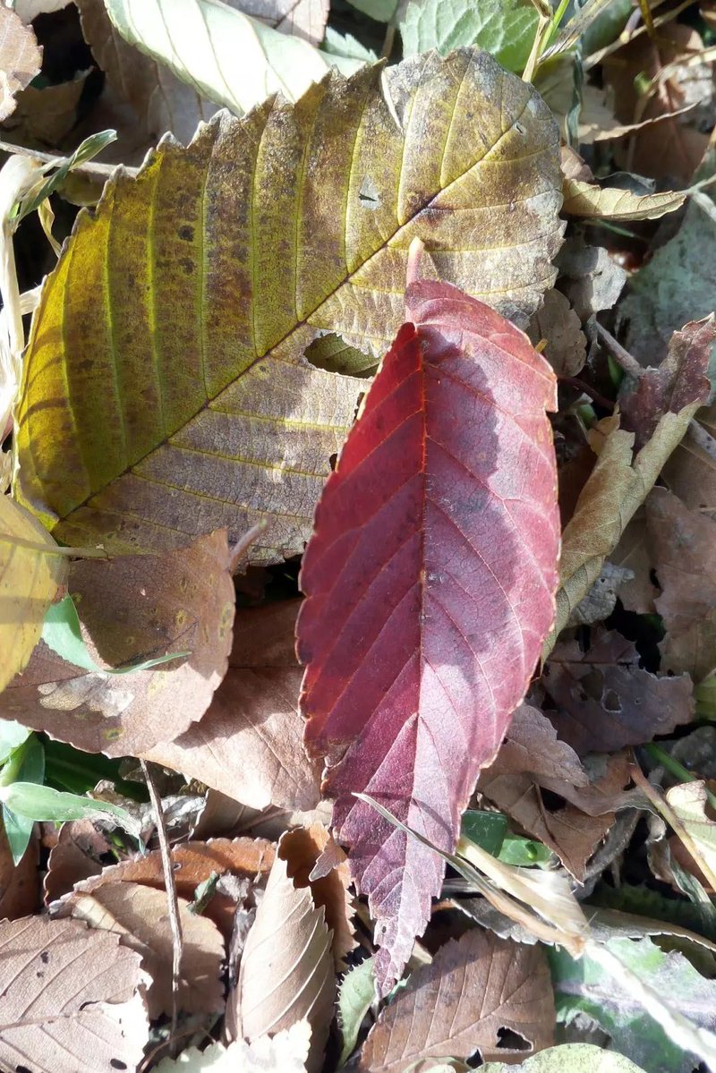 Eddie Irwin tweet media