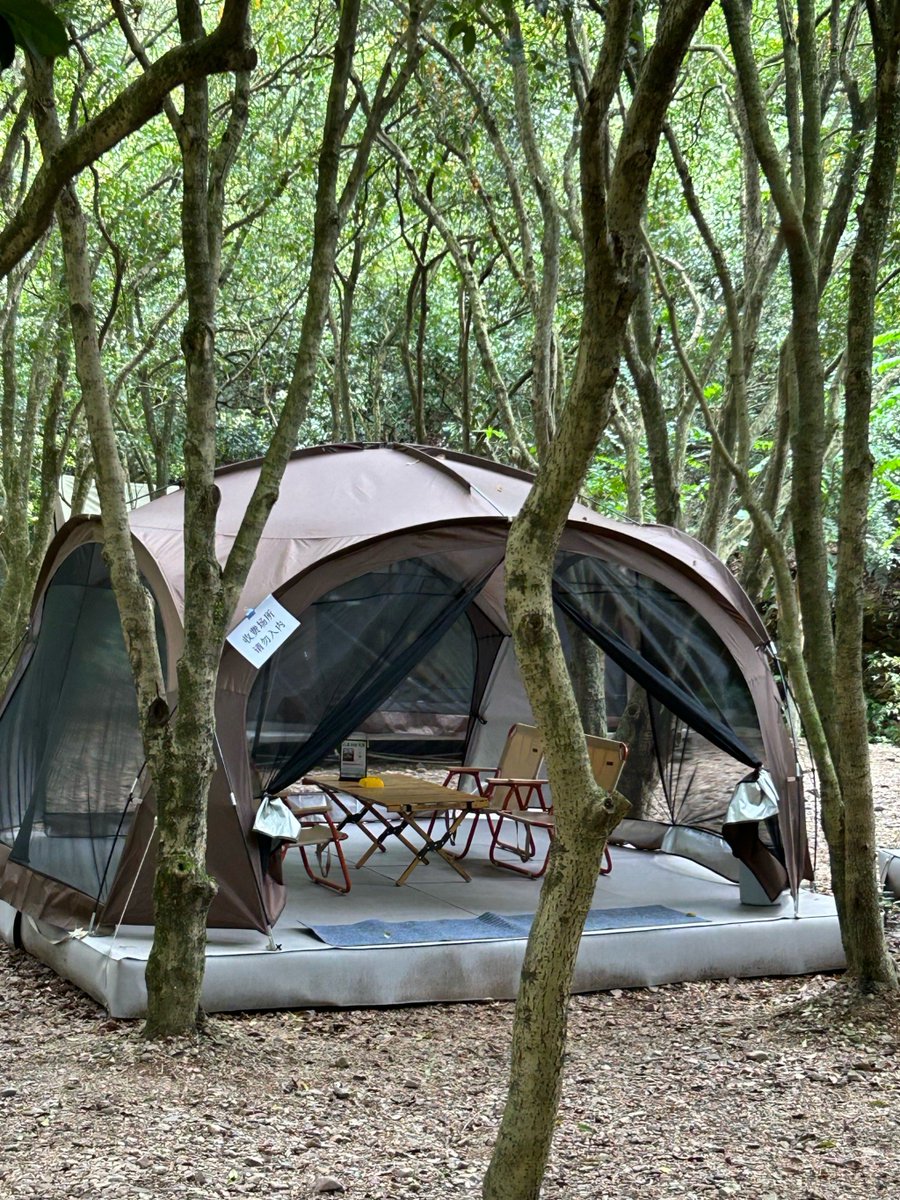 Joe Byrne tweet media