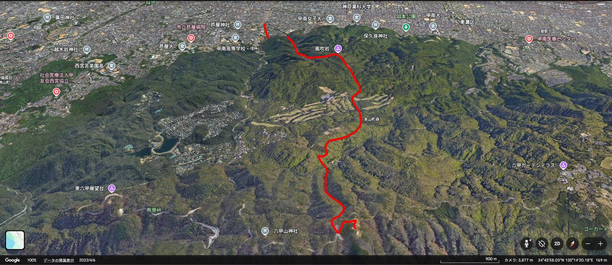 しーやん tweet media