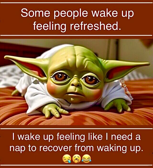 Teddu 🐈 tweet media