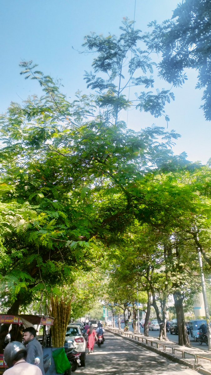 𝓮𝓵𝓲𝔃𝓪𝓫𝓮𝓽𝓱 𝓯𝓲𝓻𝓼𝓽 tweet media