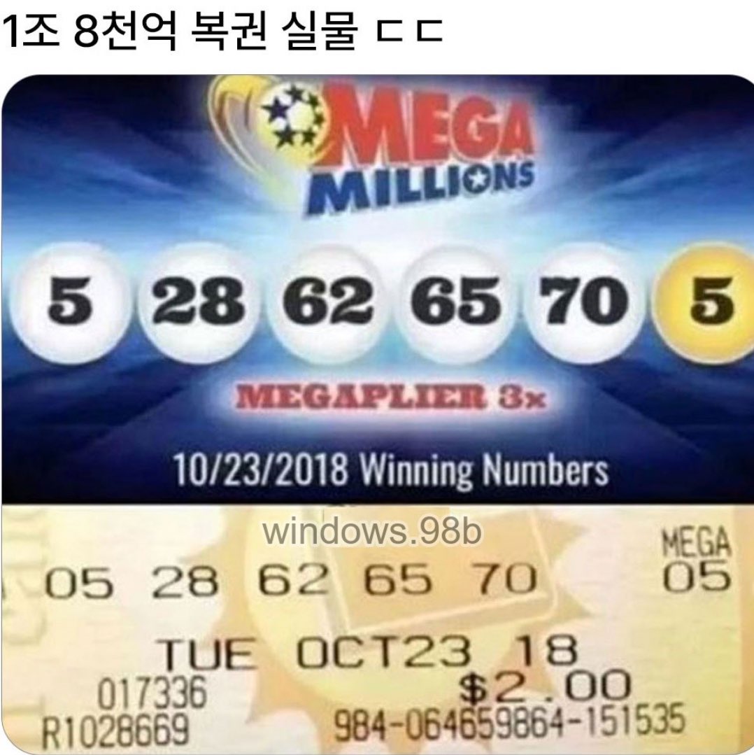 캣츠파파 tweet media