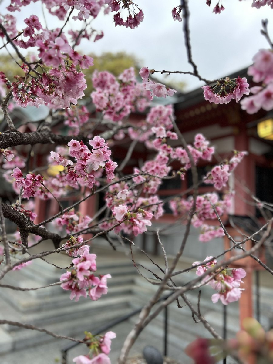 村岡浩司 tweet media